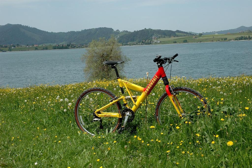 B&B Ferienhof Am See Willerzell Bagian luar foto