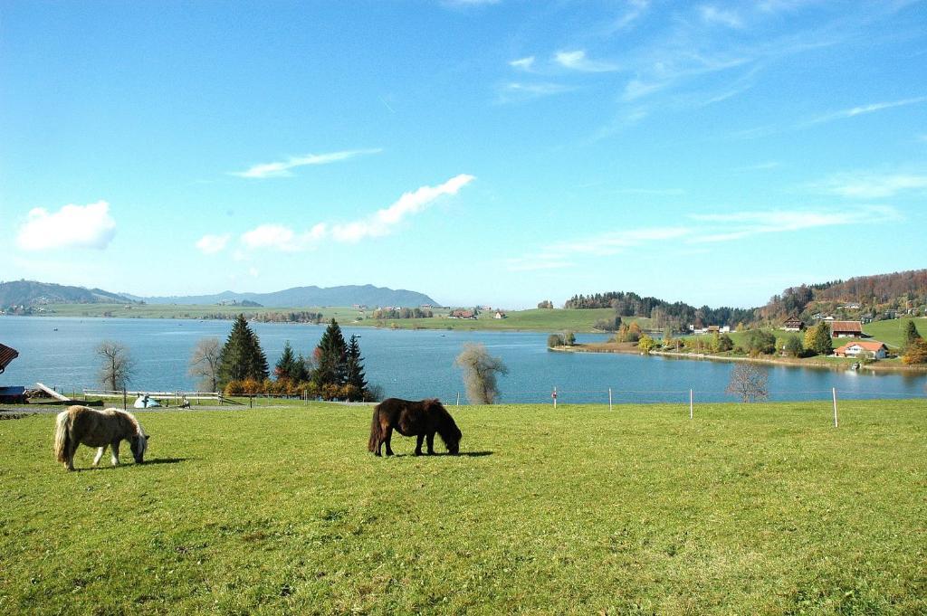 B&B Ferienhof Am See Willerzell Bagian luar foto